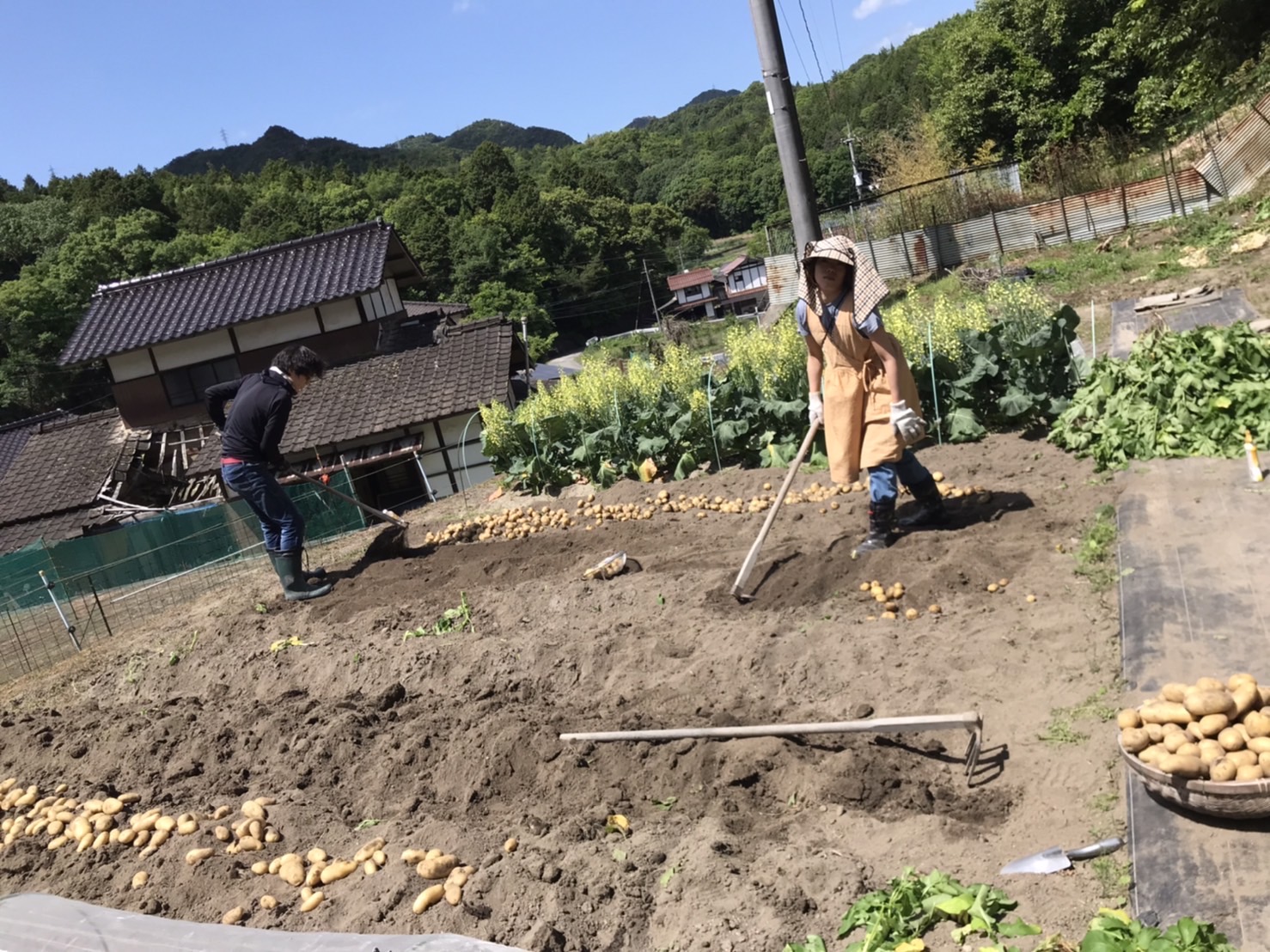 インサラータルッサ Insalata russa | OSTERiA MONTE (オステリア モンテ) インサラータルッサ Insalata russa | OSTERiA MONTE (オステリア モンテ)